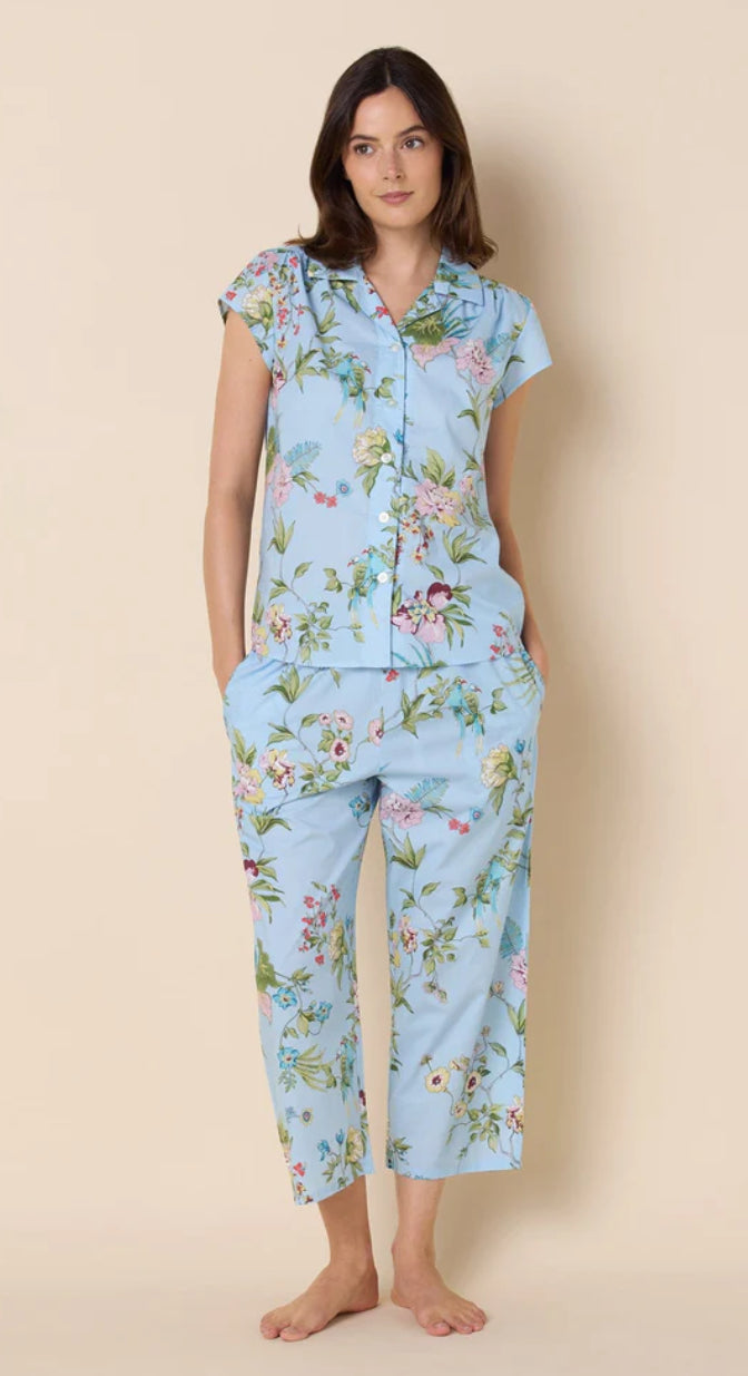 Perch and Bloom Luxe Pima Capri by Cat’s Pajamas