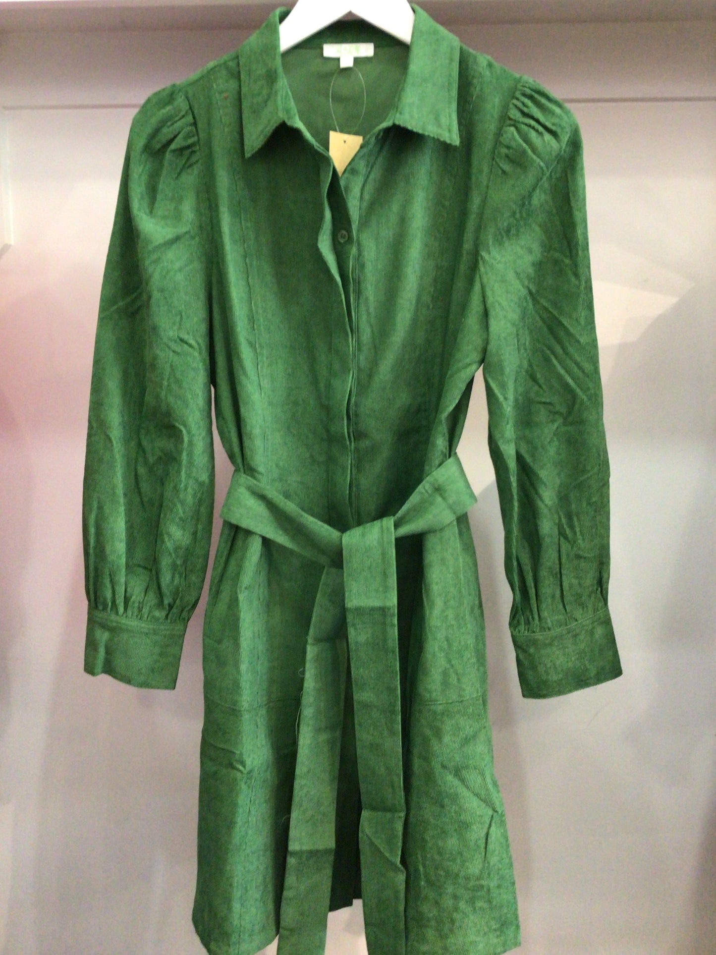 Corduroy Dress in Green by Jade